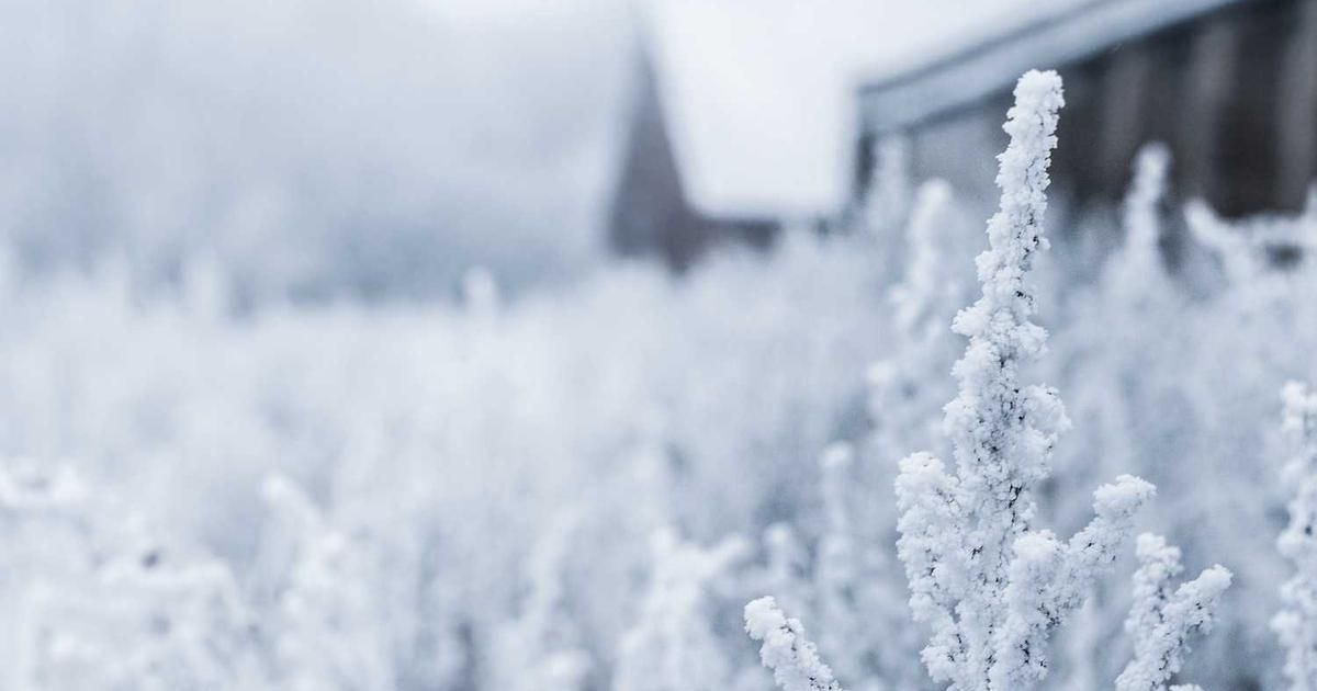 CES 2026, Sector Rotation & Key Market Movers This Week