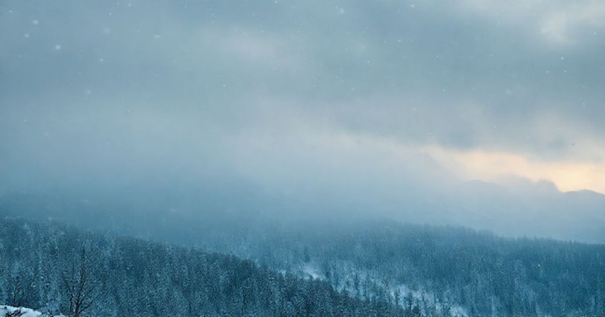 Bitcoin Surges While Major Fund Liquidates Equities, Signaling Defensive Winter Positioning