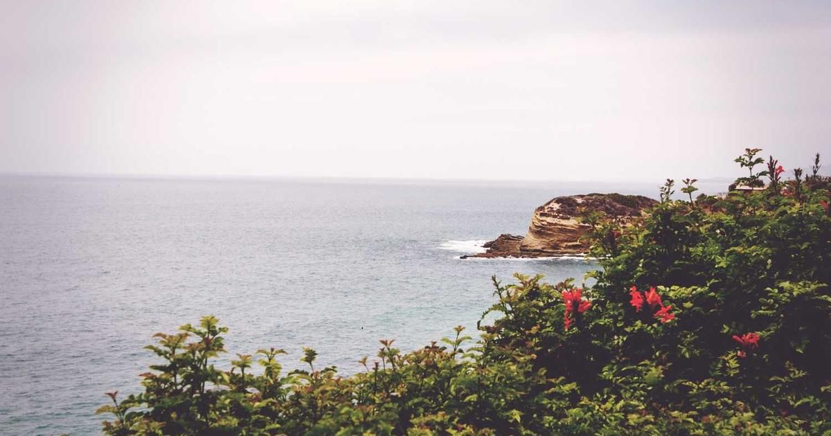 Ruble Stablecoin A7A5 Outpaced USDT & USDC in 2024 Growth