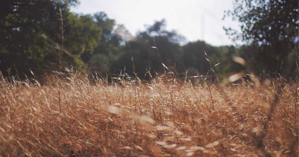 AI Stock Rally Gains Steam as Investor Fears Over Tech Valuations Subside