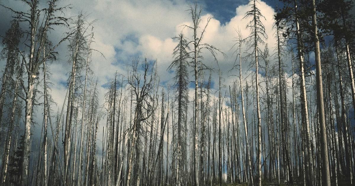 Trump's Iran Threat Roils Markets: Defense Stocks Jump, Oil Volatility Spikes