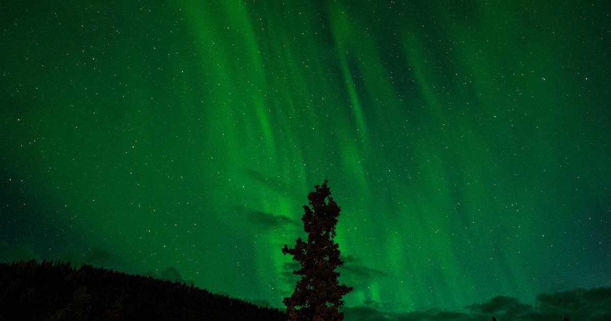 Amplitude Stock Plunges to 52-Week Low: What's Driving the Selloff?