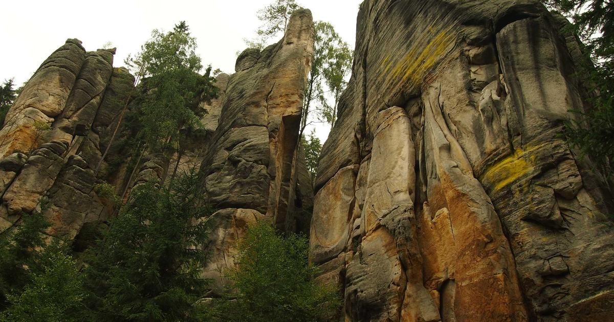 Texas Instruments Stock: Wall Street's Mixed Signals and the Chip Sector's Reality Check