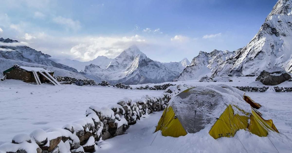 Citadel's Flagship Fund Gains 10.2% in Volatile 2025