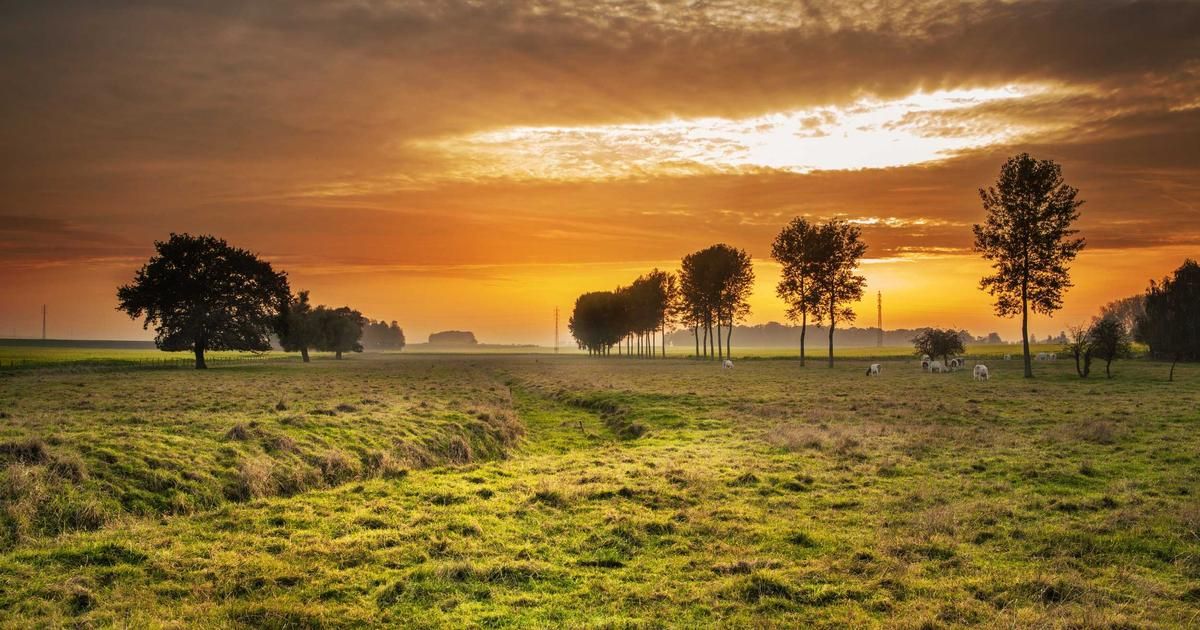 ITW Earnings Preview: Can the Industrial Giant Defy Sector Headwinds?