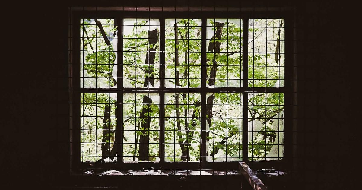 Royal Caribbean CEO's $29.7M Stock Sale Sparks Investor Scrutiny