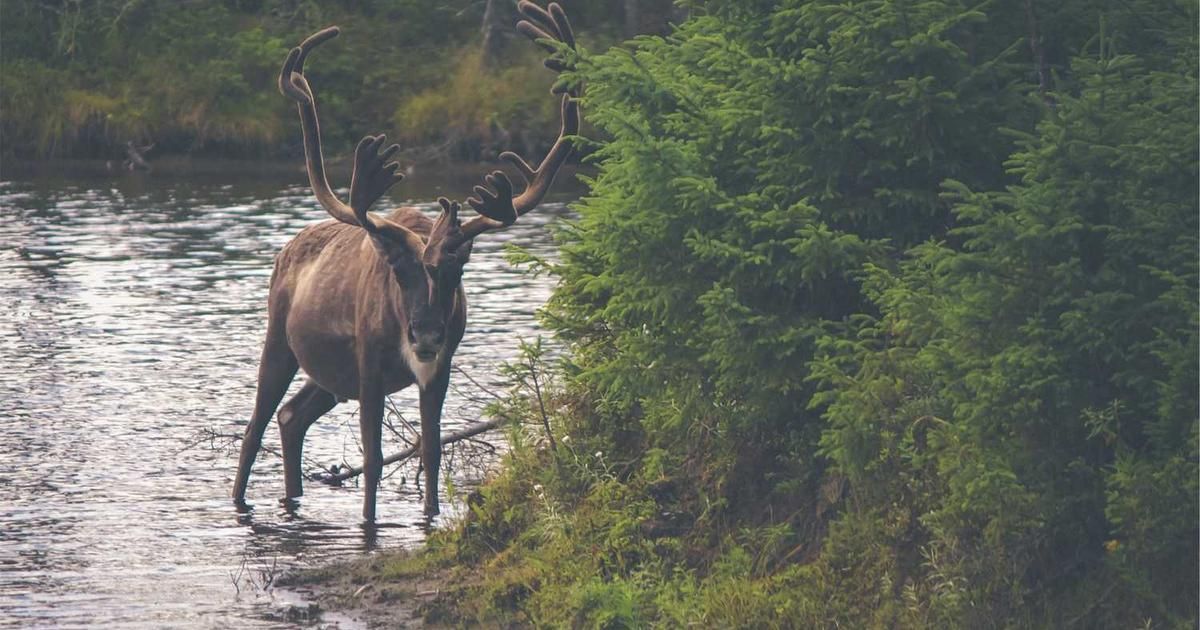 How Markets React to Jobs Reports: A 2024 Trader's Guide