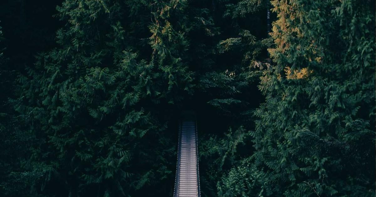 Turkey Manufacturing Downturn Eases in December 2024