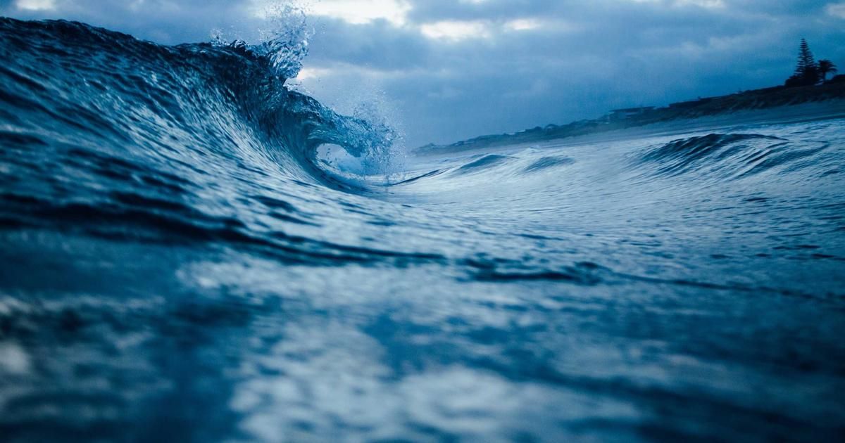 Crypto's Great Divergence: Bitcoin ETF Exodus Meets Stealth Inflows for Ether, XRP