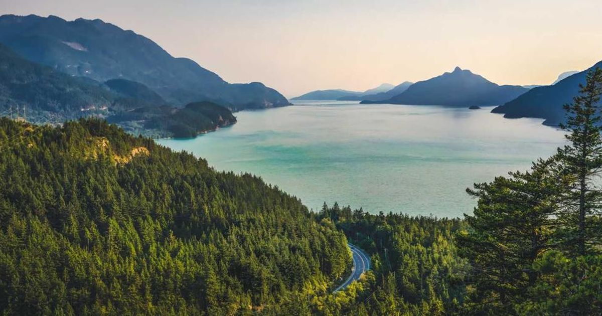 Why 2026 Could Be a Dream Year for Investors & Bitcoin's Role