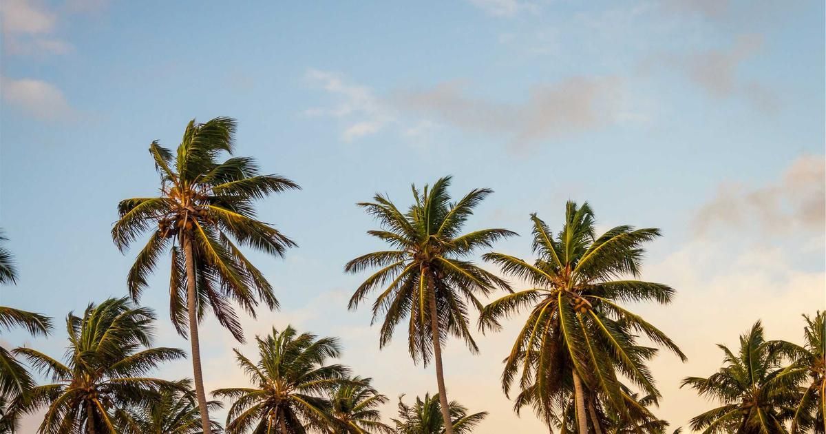 ARK Sells $17M Coinbase, Buys $18M Bullish as Crypto Rout Deepens