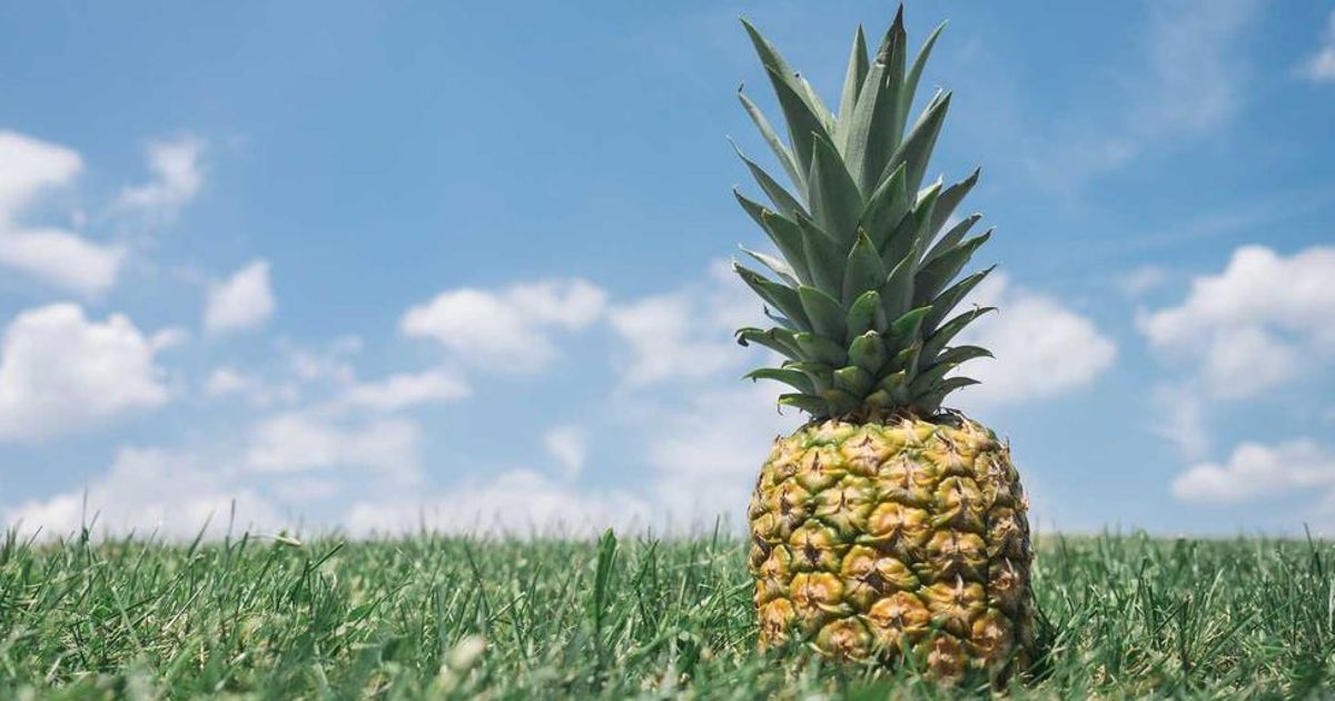 No $90K Bitcoin Till 2025: Futures Open Interest Hits 8-Month Low