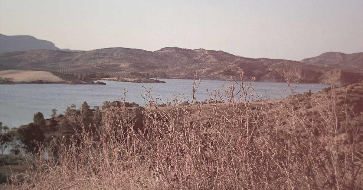 Investor Sentiment & Stock Market Drop Expectations in 2024