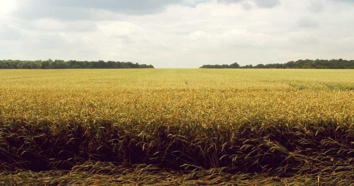 German Industrial Output Rises Unexpectedly in 2024; Exports Fall