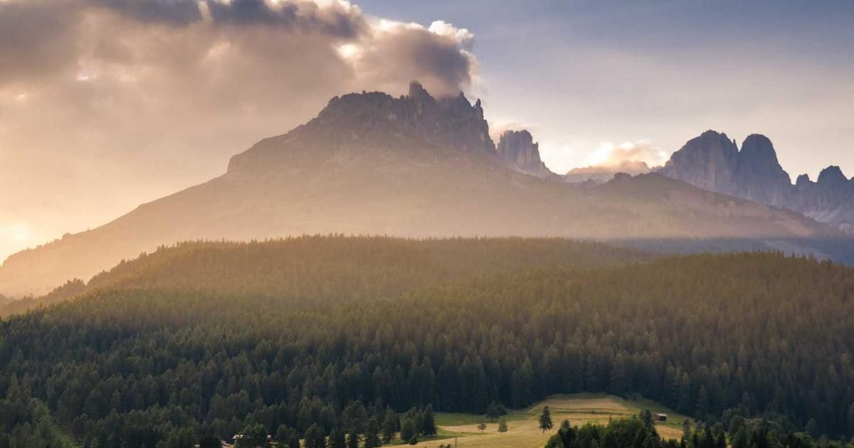 $11B Bitcoin Whale Sells $330M ETH, Opens $748M Longs in 2024