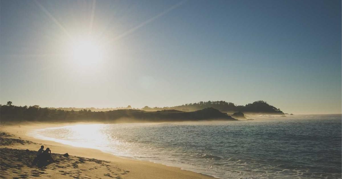 1 No-Brainer Vanguard Tech ETF to Buy Now Under $1,000 (2024)