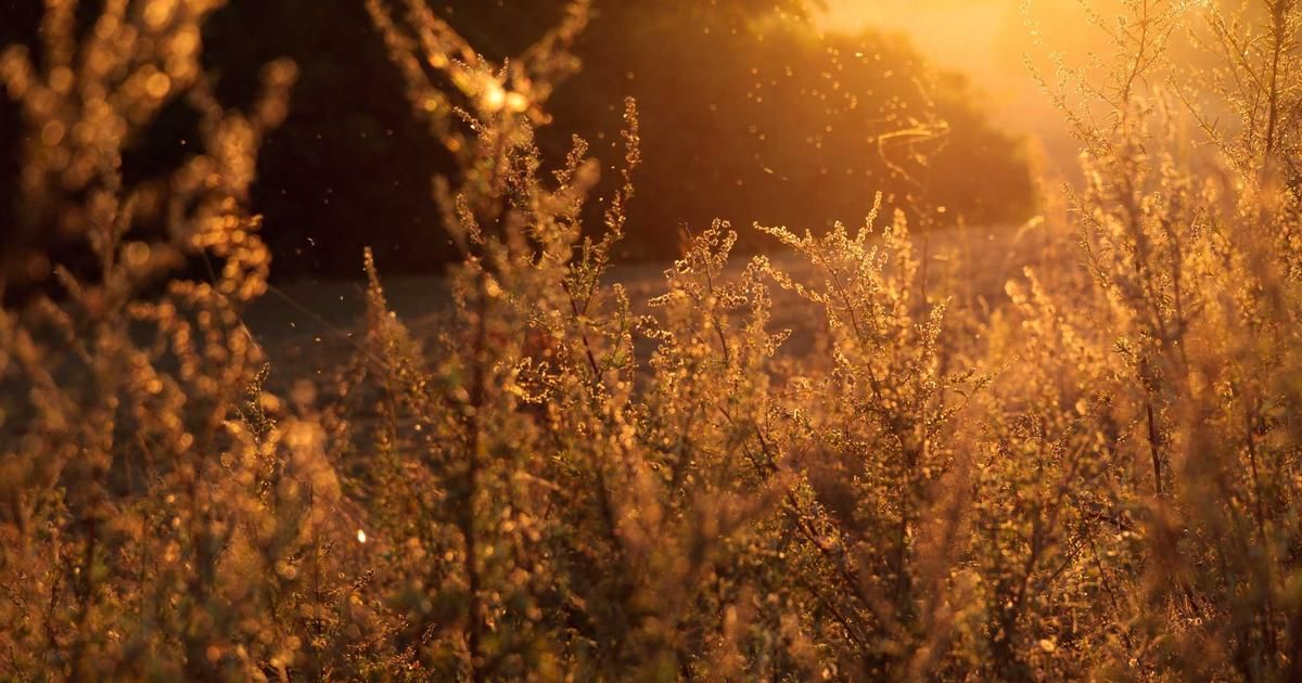 Bitcoin's $70K Ceiling: Why the Rally Stalled Despite Wall Street Tailwinds