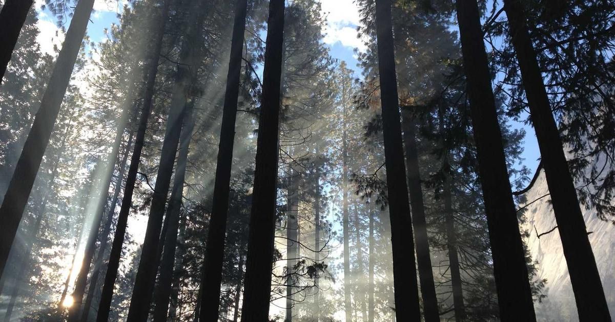 Global Stocks Head for Best Year Since 2019 Despite Trade Wars