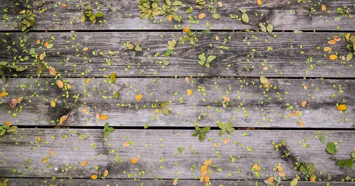 Chunghwa Telecom Earnings Beat, But Revenue Miss Raises Growth Questions