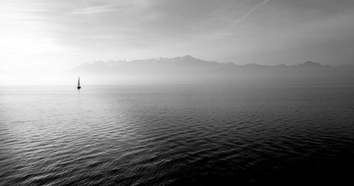 IBP Stock Defies Housing Slump: A Deep Dive into the Resilience Play