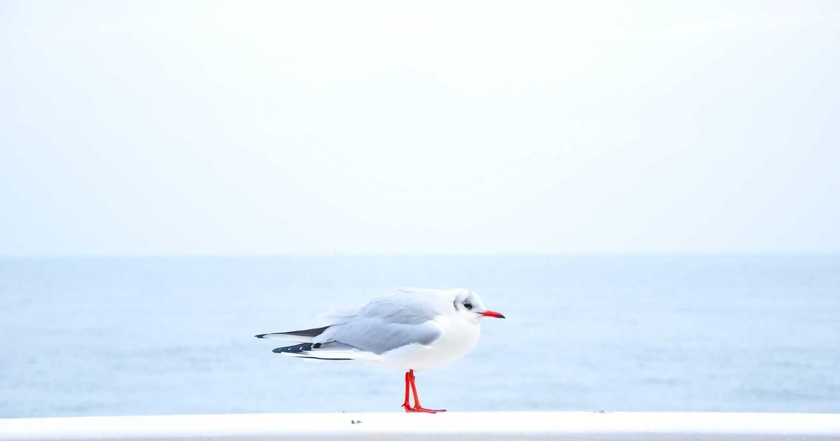 Bitcoin Mining Difficulty Soars 15% in Largest Jump Since 2021 Amid Price Weakness