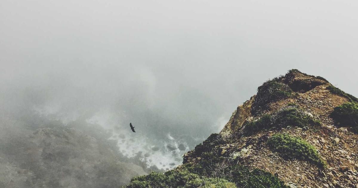 Morning Bid: Swiftly Moving On - A Trader's Guide for 2024