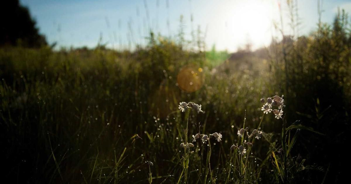 Memecoins Surge 23% in 2026 Market Cap Pump, Volume Spikes 300%