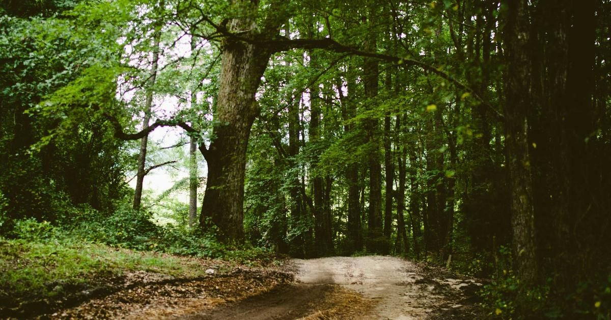 PayPal's Pivot: Can the Payments Giant Regain Investor Trust in 2024?