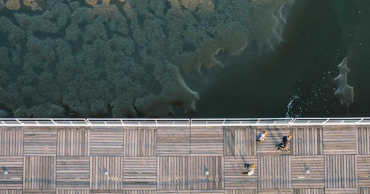 CPI Data Returns on Schedule: Key Market Implications for 2024