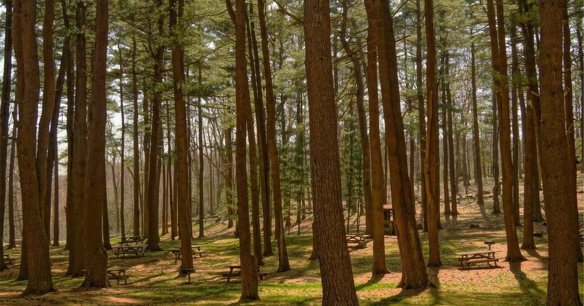 Tractor Supply Q4 2025 Earnings: Key Metrics & Trader Outlook