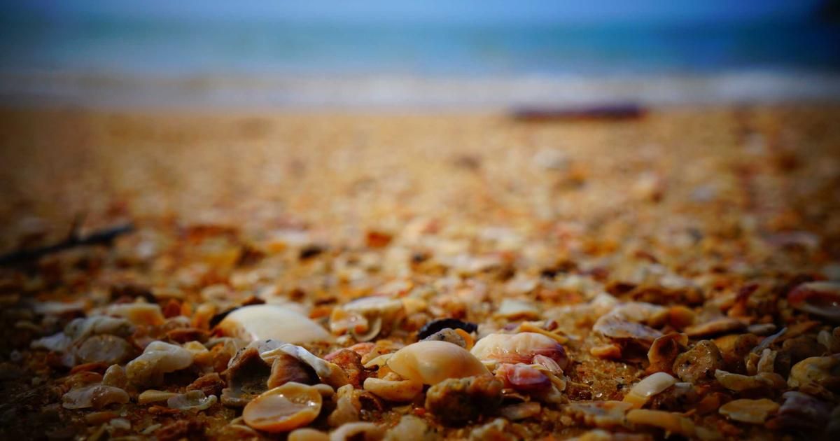 Bitcoin Stalls Below $73K: Correction or Bull Trap for Crypto Investors?