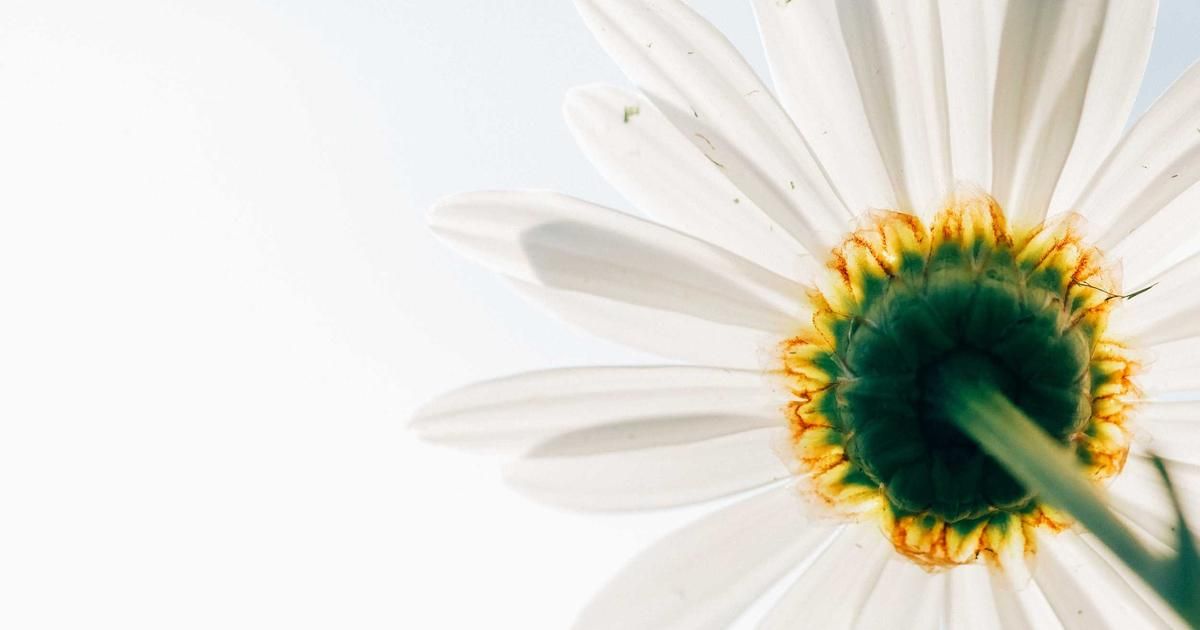 BOJ's Masu Signals Rate Hike Urgency, Shaking Yen and Global Markets