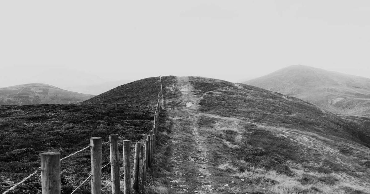 Bitcoin ETF Momentum Builds in South Korea as Regulation Lags (2024)