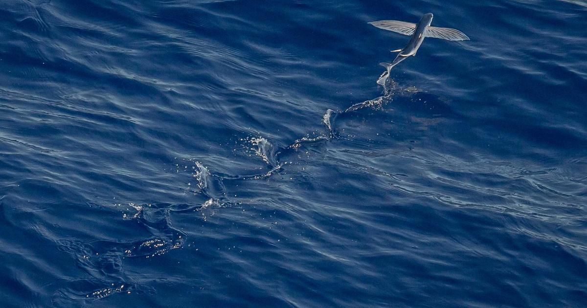 Bitcoin's Mining Capitulation May Be Over, Signaling Potential Price Bottom