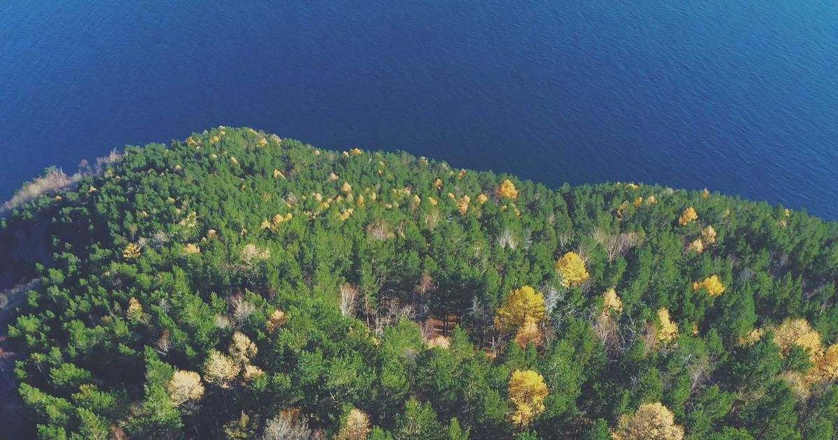 Aeluma Insider Sale: Tompkins Exits $507K Stake, What's Next for ALMU?