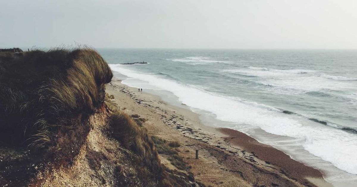 How AI Drove Bridgewater's Rise: Ray Dalio's 2024 Partnership Revealed