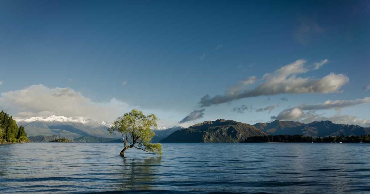 Silver Bubble Debate 2024: SocGen Model vs. Analyst Views