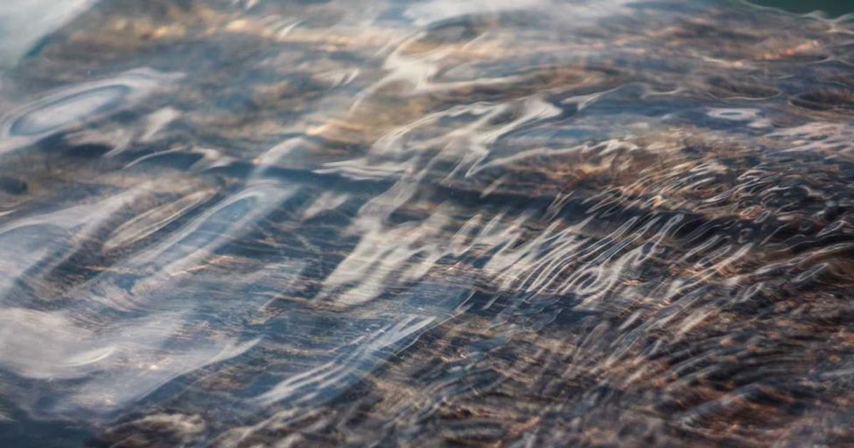 2 Red-Hot Growth Stocks to Buy in 2026: Trader Analysis