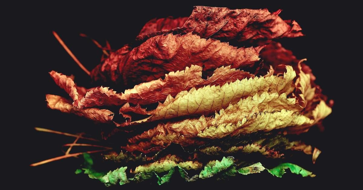 Sunrise Eyes US Critical Minerals Deal, Signaling Major Supply Shift