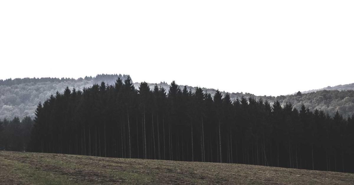 2025 Financial Regrets: Top 3 Money Mistakes & 2026 Fixes