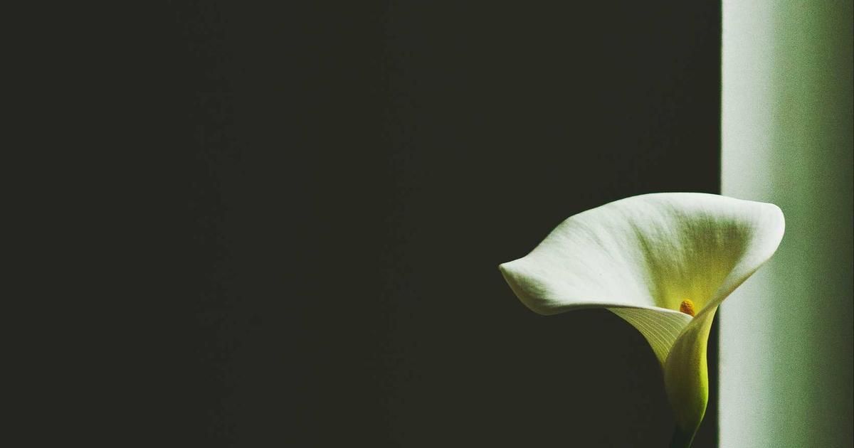 ADM and OGE: Why These Quiet Stocks Are Suddenly on Investors' Radars