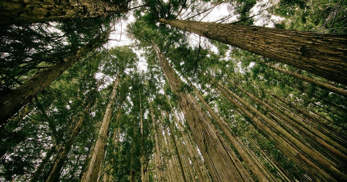 Sempra's $65B Bet: Can 11% Rate Base Growth Power Utility's Future?