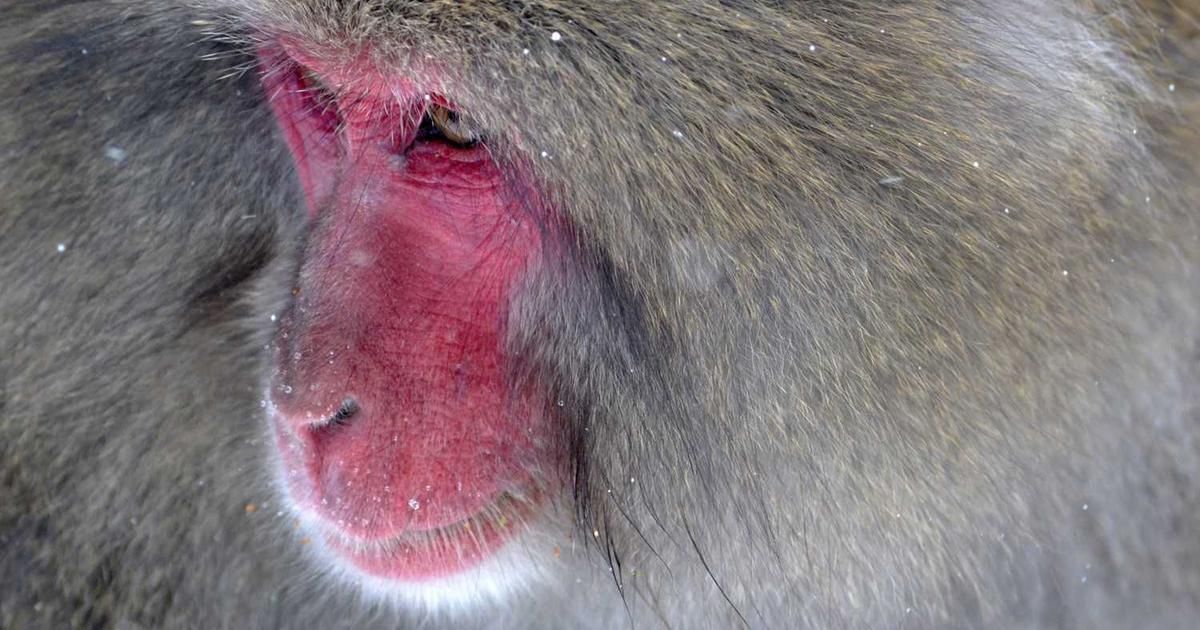 Tom Wyatt Returns as KinderCare CEO: What It Means for KLC Stock in 2024