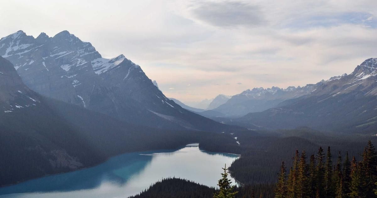 Jefferies Backs Vor Biopharma's Autoimmune Shift with Buy Rating