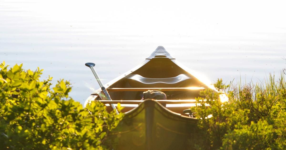 Metaplanet's $400M Bitcoin Bet Shakes Corporate Treasury Rankings