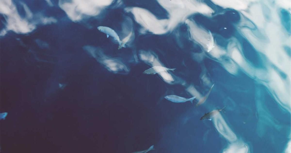 2025 Market Wrap: Stocks Sputter but Post Double-Digit Gains