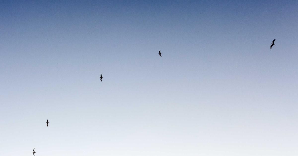 Bitcoin ETF Outflows: Correction or Crypto Winter Harbinger?