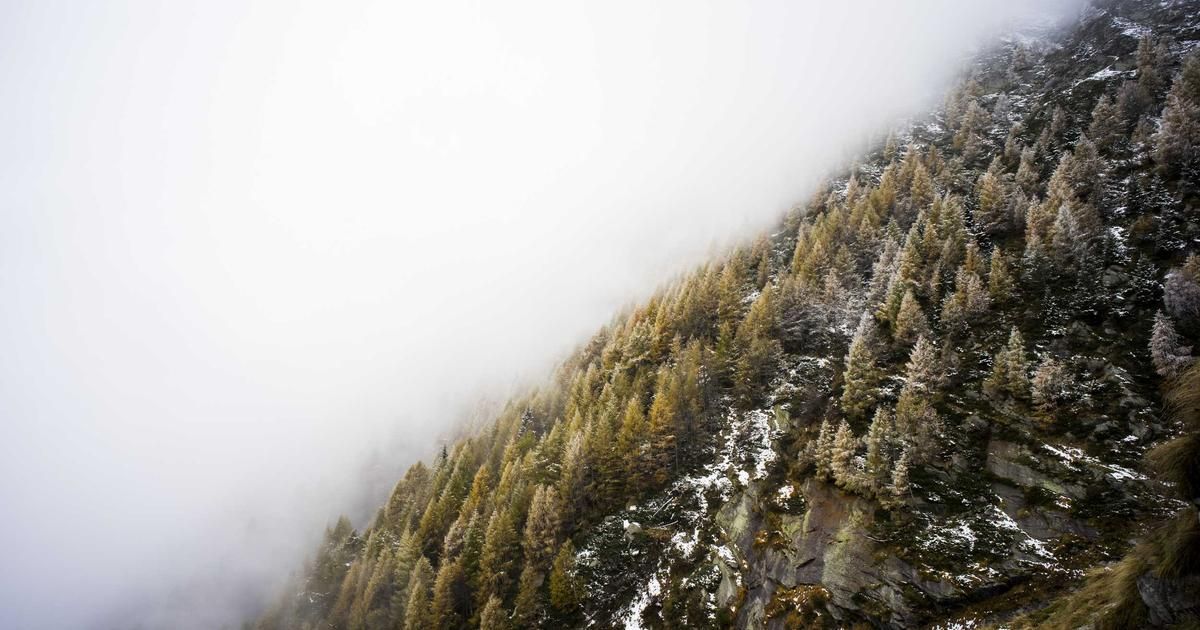 UAE's $344M Bitcoin Bet: How Sovereign Mining Is Reshaping Crypto Markets