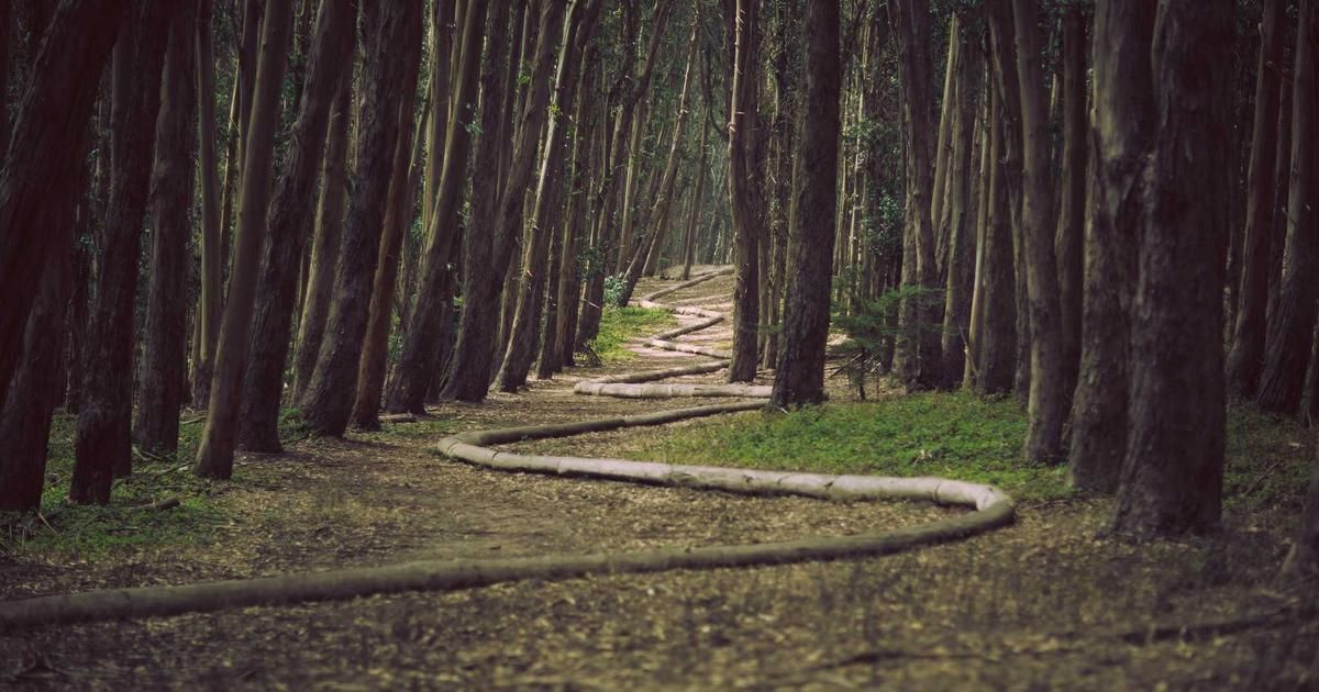 Blue Owl Sells $1.4B Software Loan Portfolio, Testing Private Credit Liquidity