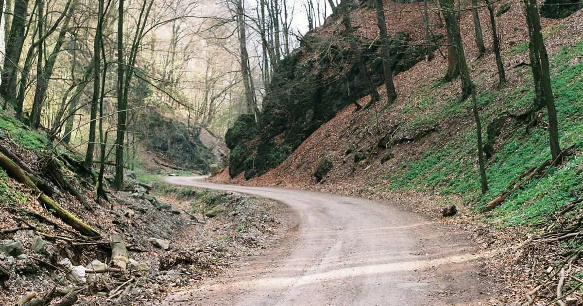 U.S. Unemployment Surge May Force 2024 Fed Rate Cuts